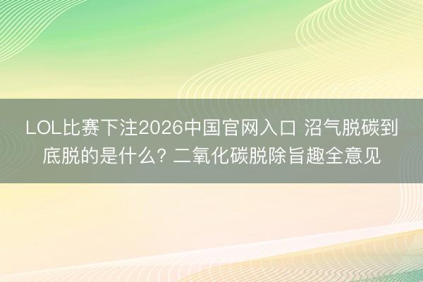 LOL比赛下注2026中国官网入口 沼气脱碳到底脱的是什么? 二氧化碳脱除旨趣全意见