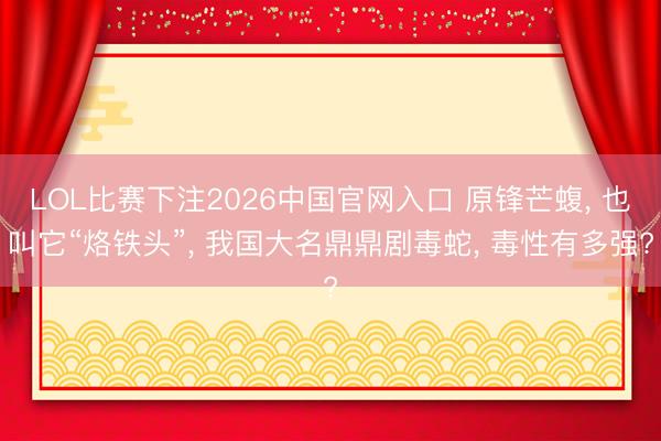 LOL比赛下注2026中国官网入口 原锋芒蝮, 也叫它“烙铁头”, 我国大名鼎鼎剧毒蛇, 毒性有多强?