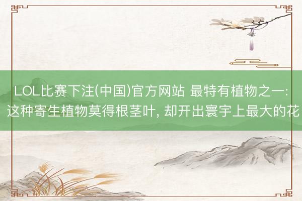 LOL比赛下注(中国)官方网站 最特有植物之一: 这种寄生植物莫得根茎叶， 却开出寰宇上最大的花