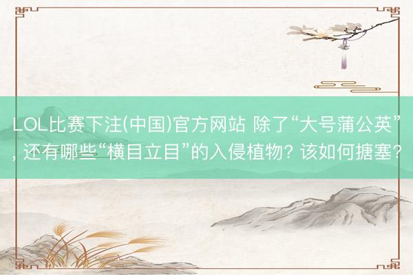LOL比赛下注(中国)官方网站 除了“大号蒲公英”, 还有哪